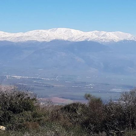 Appartamento קסם של אירוח Hagoshrim Esterno foto